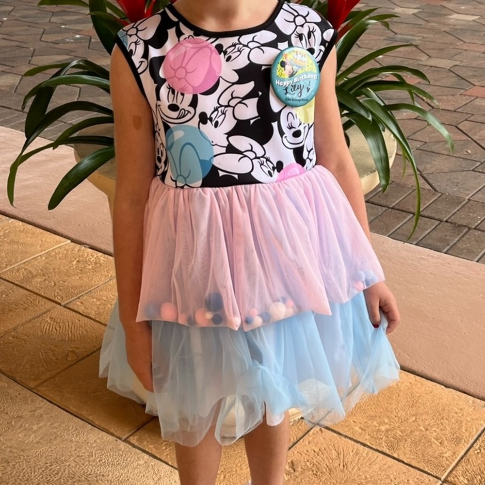 Minnie Mouse tutu dress